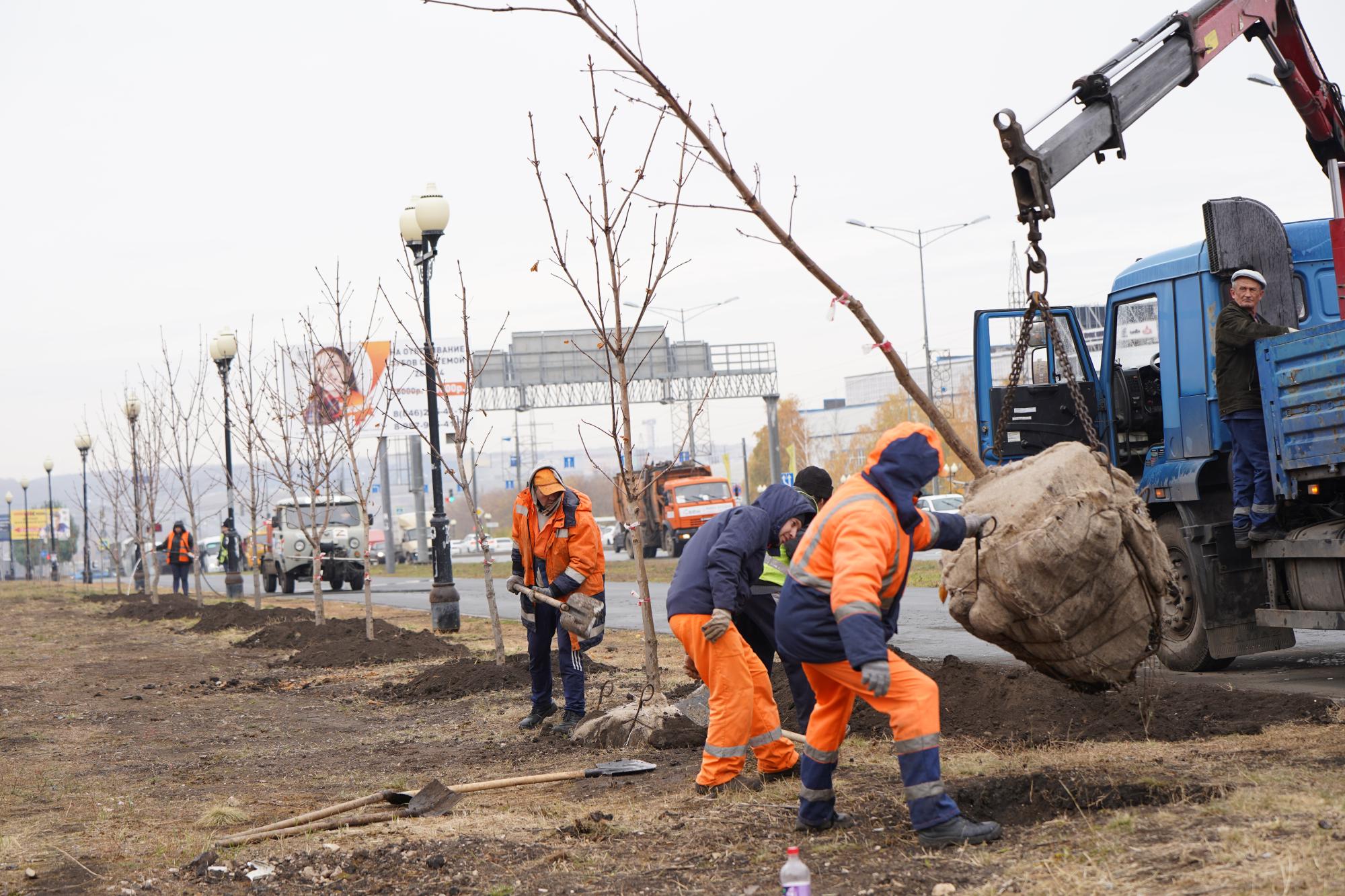 Филиал Самарского ДЭУ провел осеннюю высадку деревьев