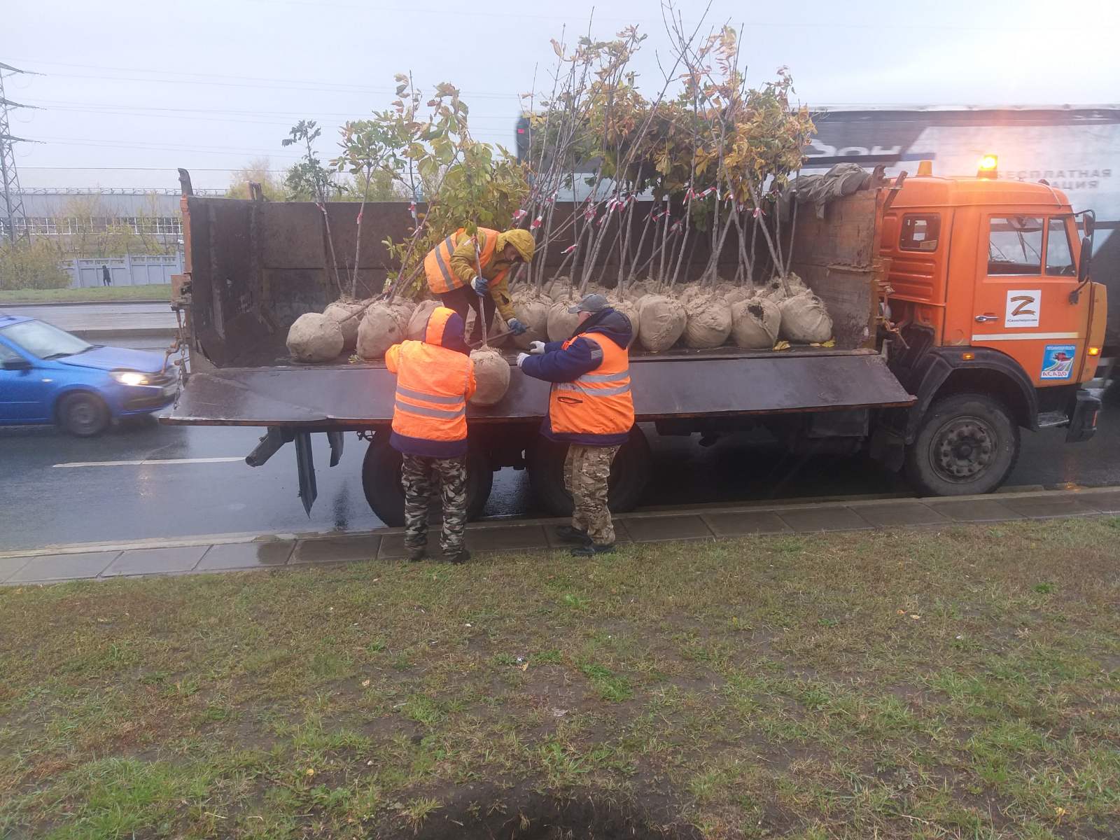 Завершена осенняя посадка деревьев вдоль Московского шоссе и ул. Ново-Садовой